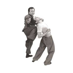 Wing Chun DVD by Augustine Fong (Panther Productions)