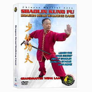 DRAGON HEAD WALKING CANE CHINESE TRADITIONAL SHAOLIN KUNG FU